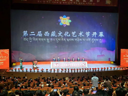 雪域高原綻放藝術(shù)之花 第二屆西藏文化藝術(shù)節(jié)盛大開(kāi)幕